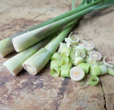 Lemon Grass