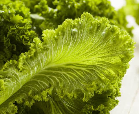 Organic Mustard Greens
