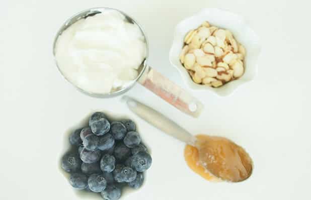 Blueberry Yogurt Protein Bite ingredients 