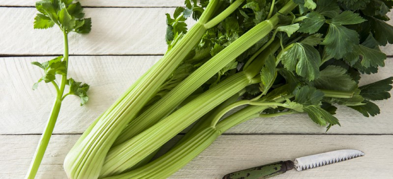 Nutritious value of celery sale