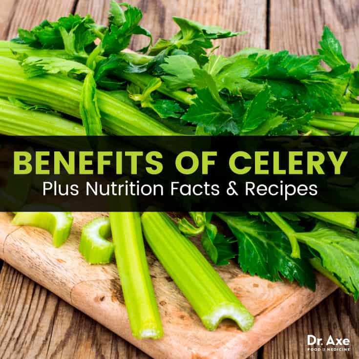 10 Benefits of Celery + Nutrition Facts and Recipes - Dr. Axe