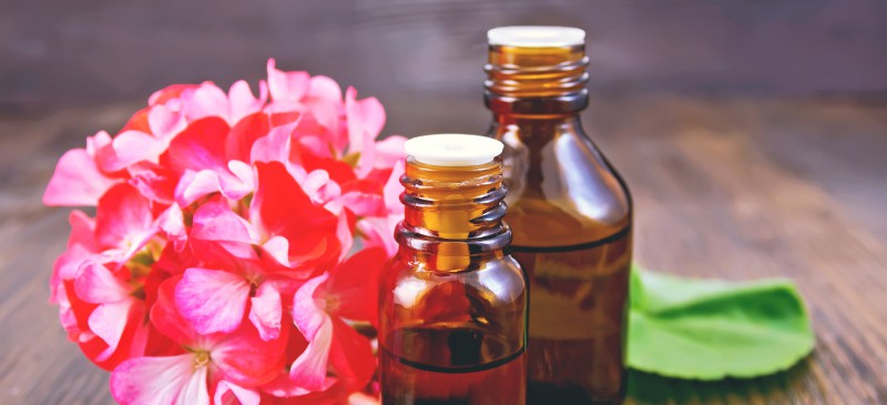 GERANIUM Essential Oil