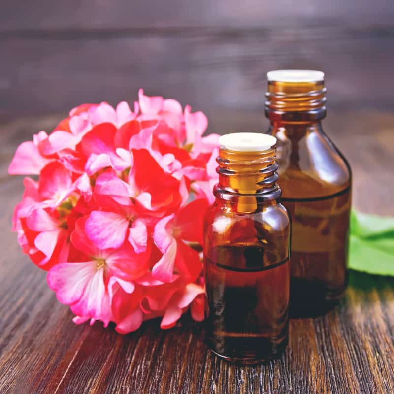 Rose Geranium Essential Oil Powerful Hormonal & Emotional Balance