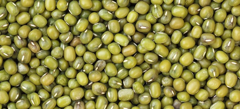 Mung Beans Nutrition, Benefits And How To Cook - Dr. Axe