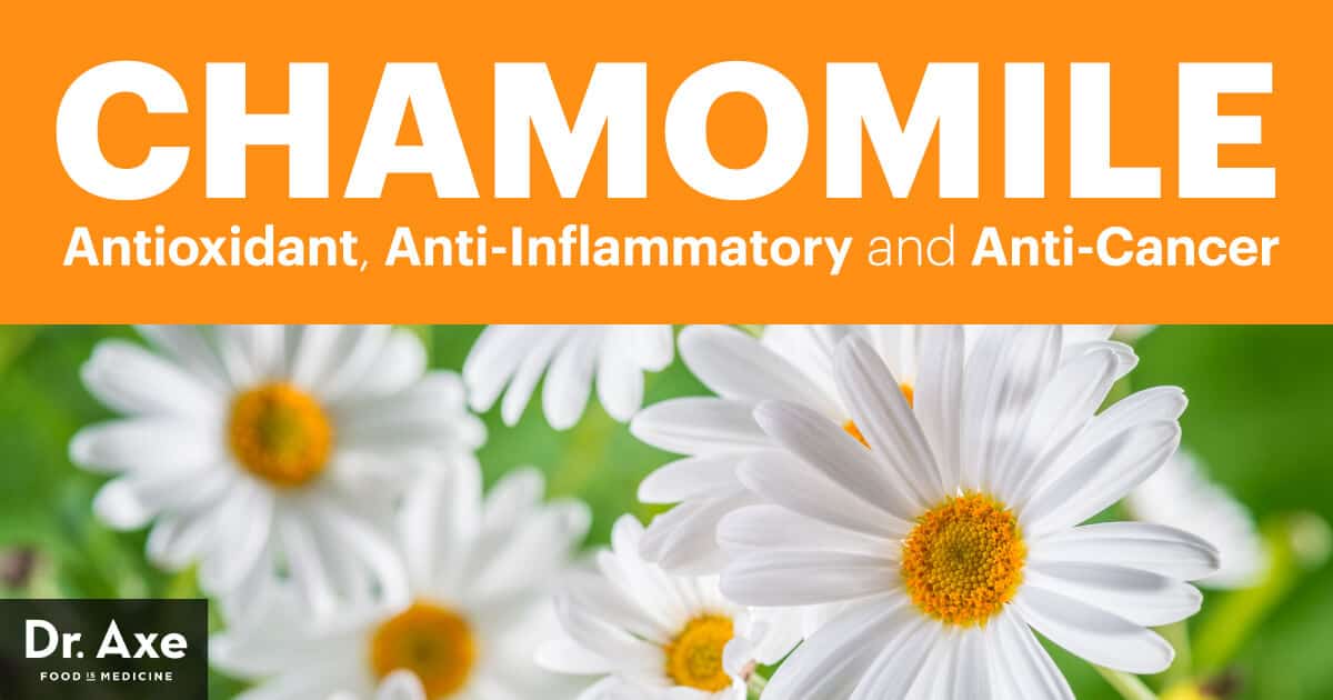 Chamomile Antioxidant, AntiInflammatory & AntiCancer