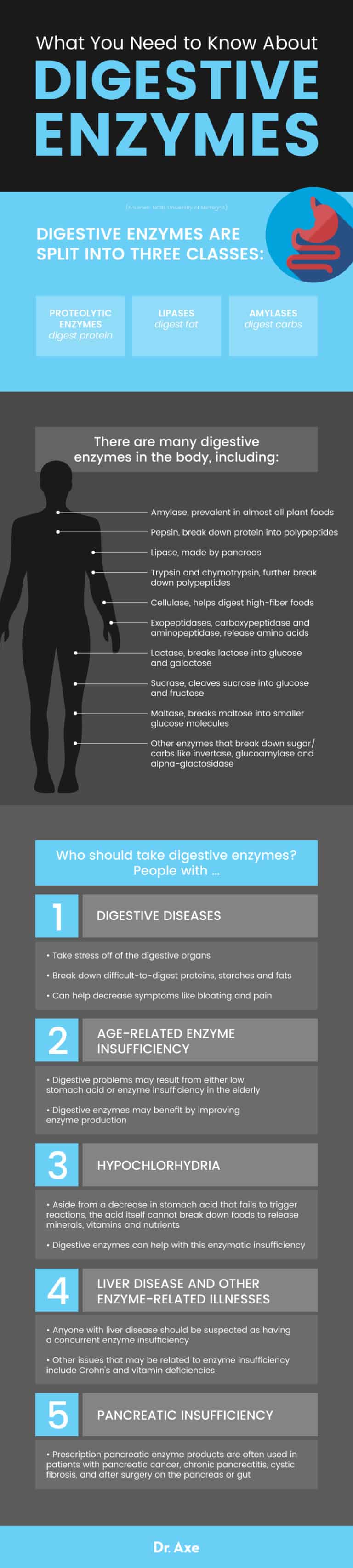 Digestive Enzymes Benefits Foods Functions And More Dr Axe 