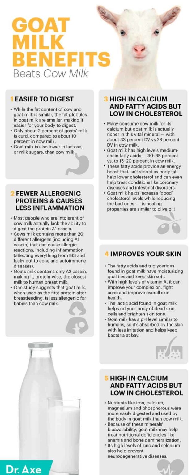 Goat Milk Benefits, Nutrition, Types and How to Use Dr. Axe