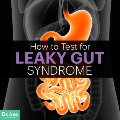 Leaky Gut Test You Should Consider Taking - Dr. Axe