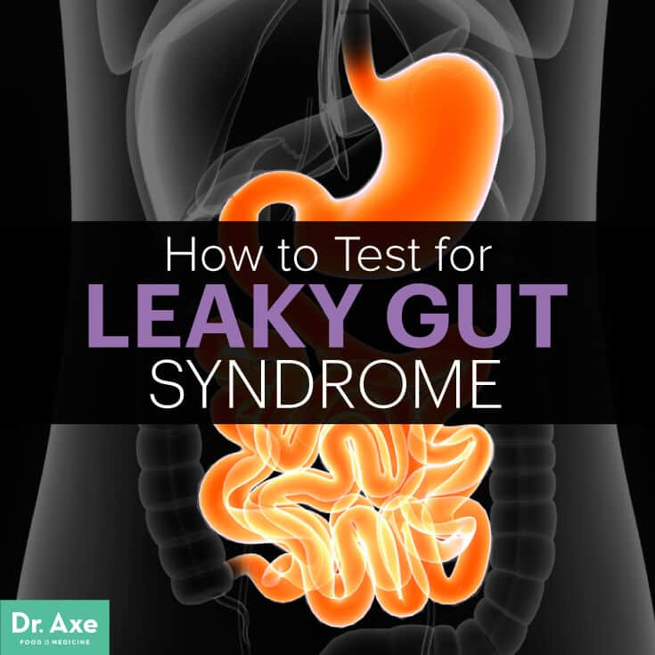 Leaky Gut Test