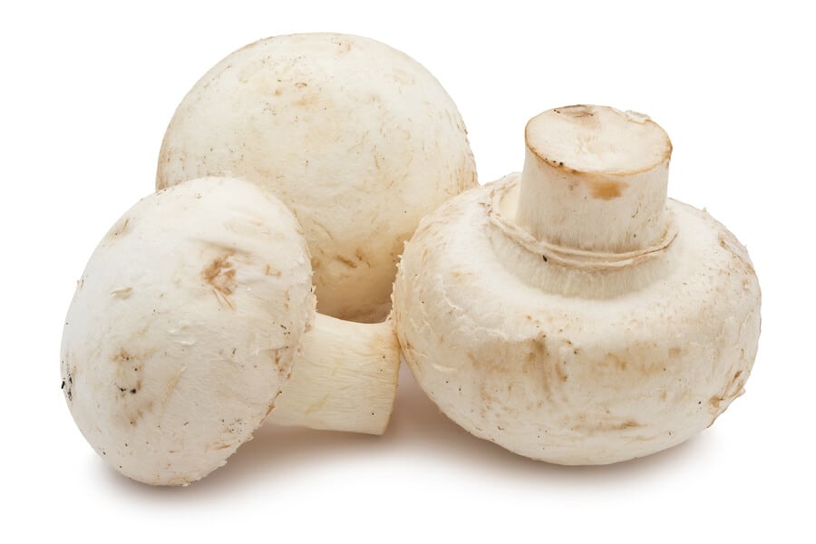   Mushroom -  3