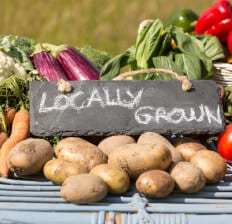 Organic vegetables on a stand at a farmers market with a sign reading locally grown