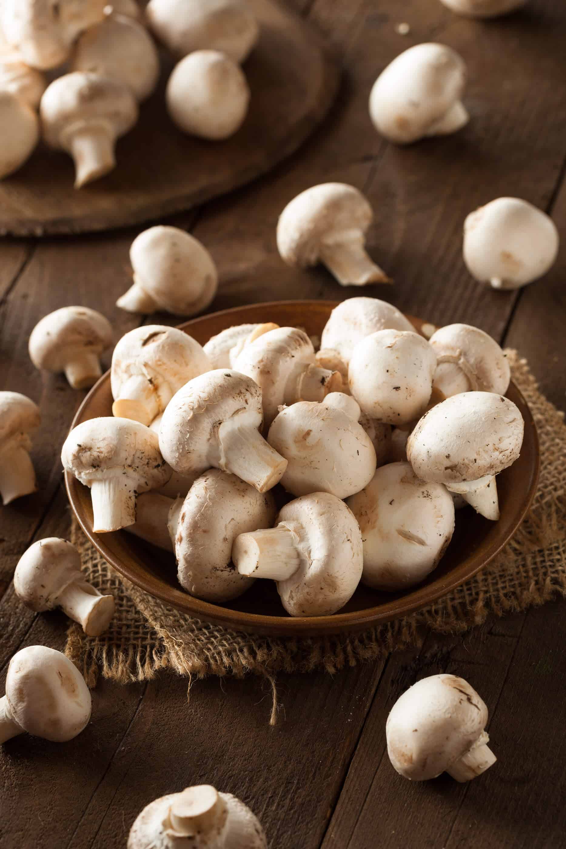 Image result for button mushrooms