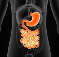 Leaky gut test