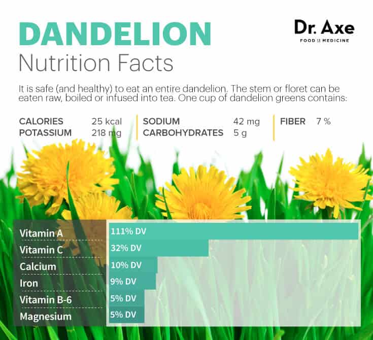 Dandelion Tea for Liver Detox, Healthy Skin & Stomach Dr. Axe