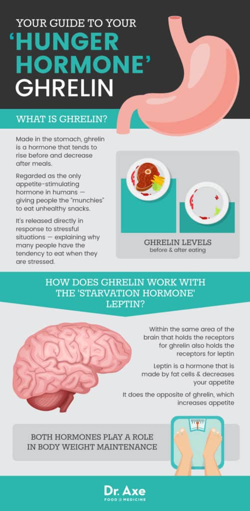 Ghrelin How to Control This Hunger Hormone to Lose Fat Dr. Axe