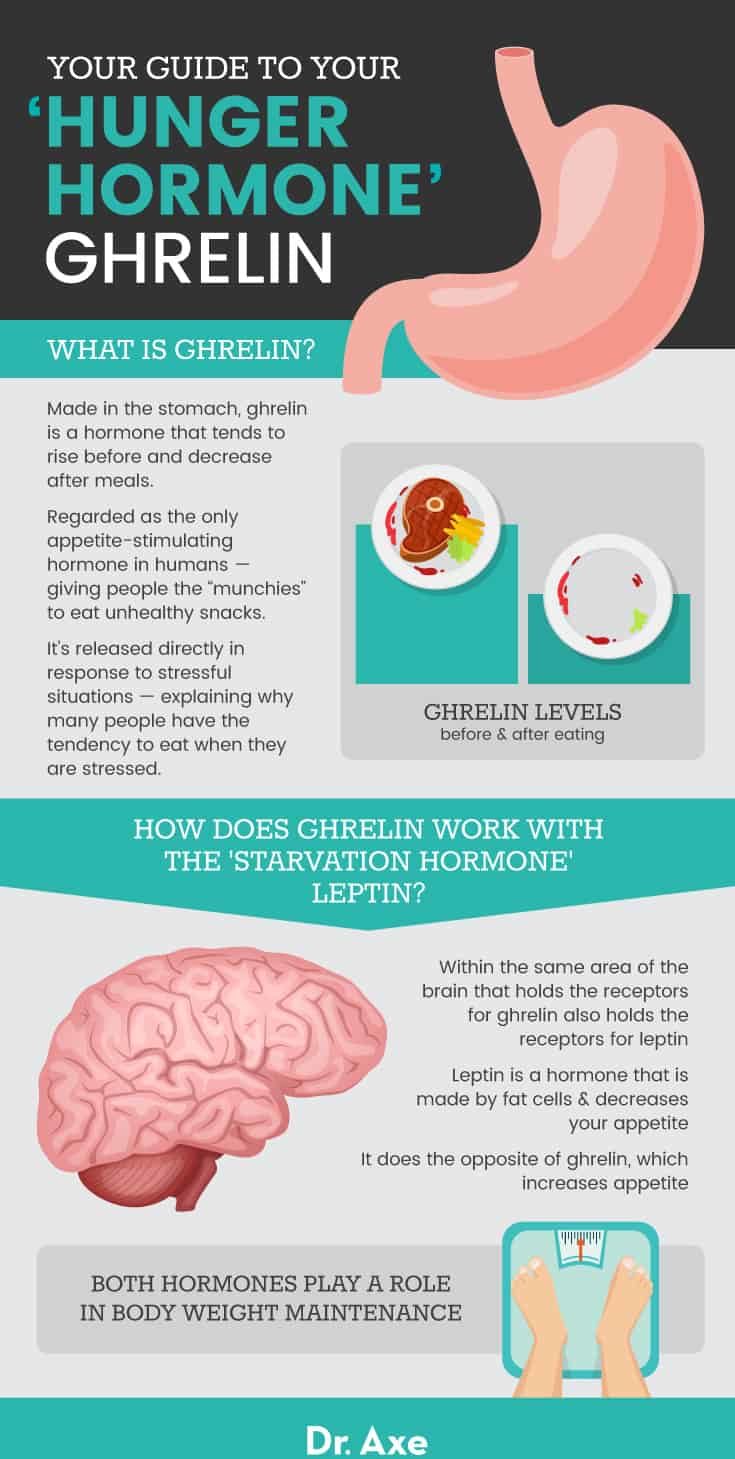 Ghrelin How to Reduce This Hunger Hormone to Lose Weight Dr. Axe