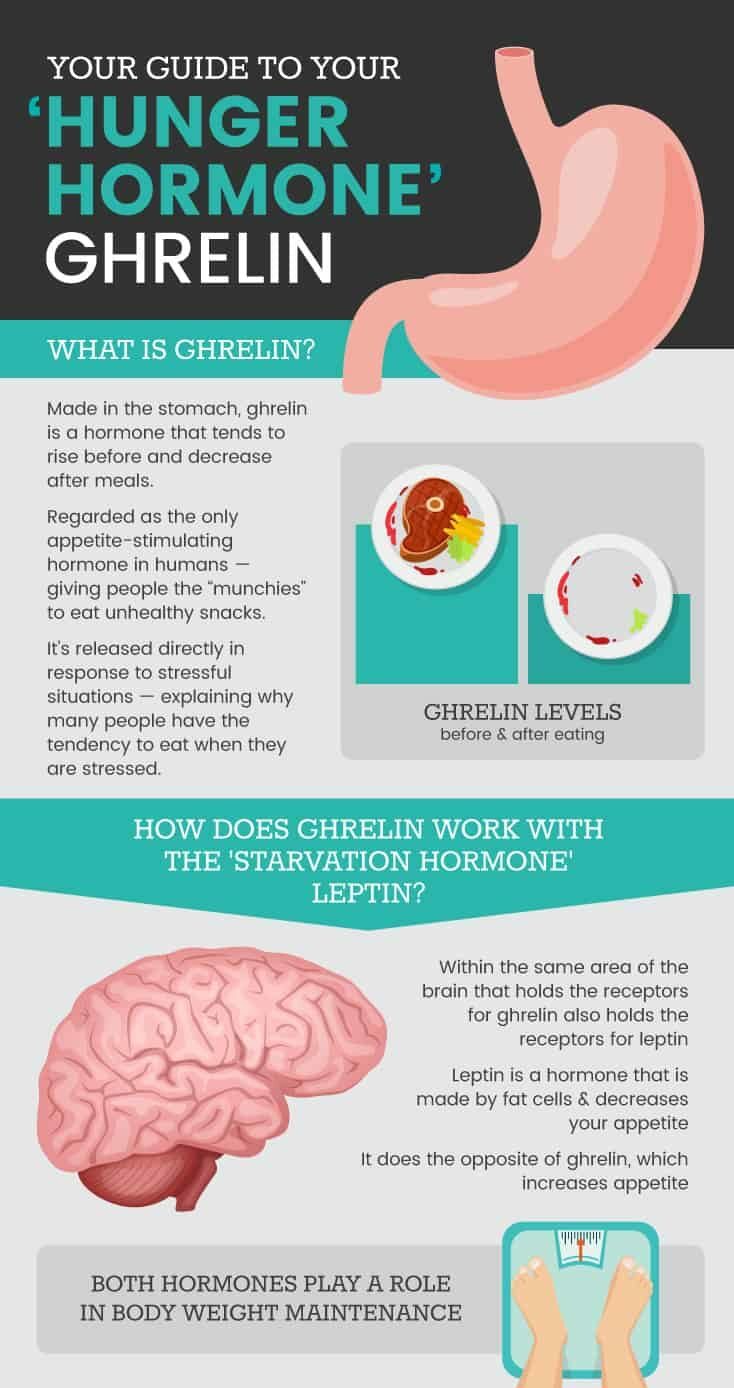 Ghrelin guide - Dr. Axe