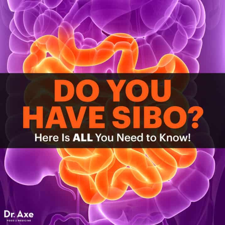 the-primary-symptoms-of-sibo-the-health-coach