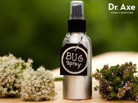 bug-spray