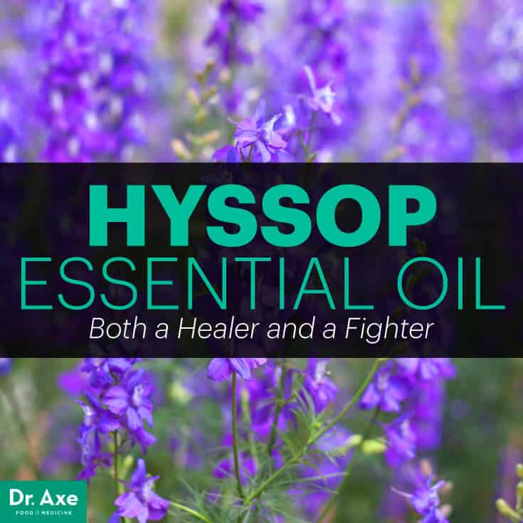 Hyssop - Dr. Axe