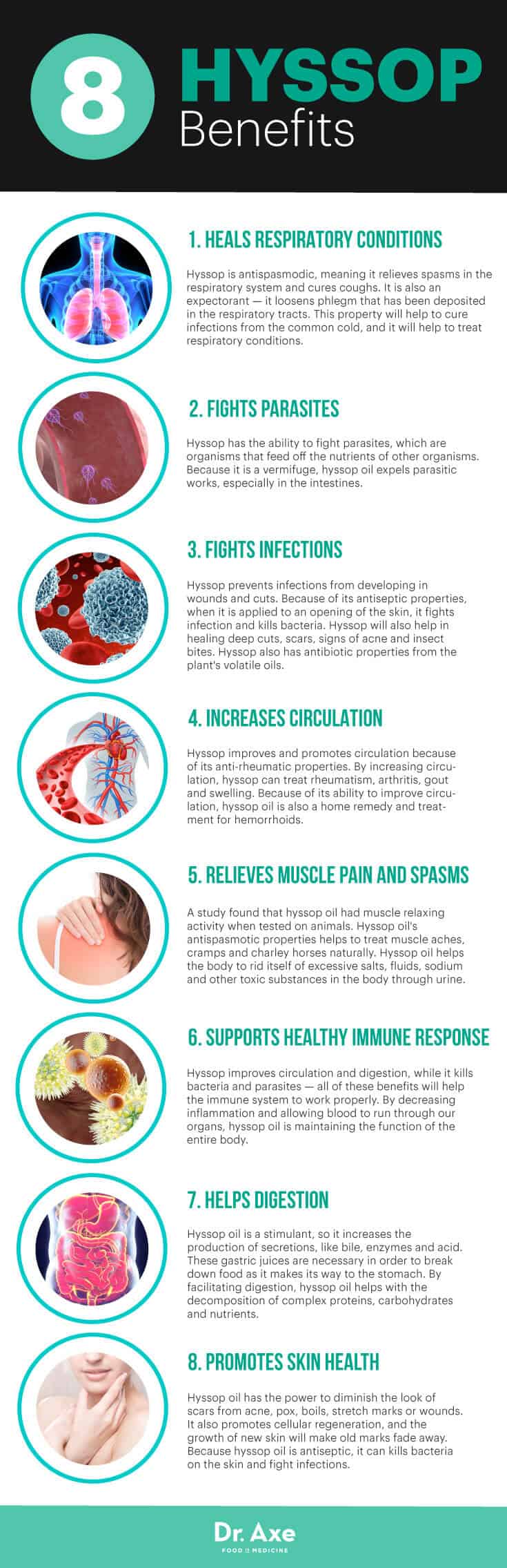 Hyssop benefits infographic - Dr. Axe