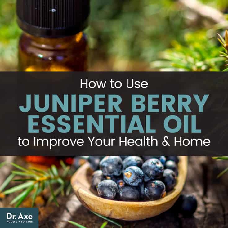 Juniper berry essential oil - Dr. Axe