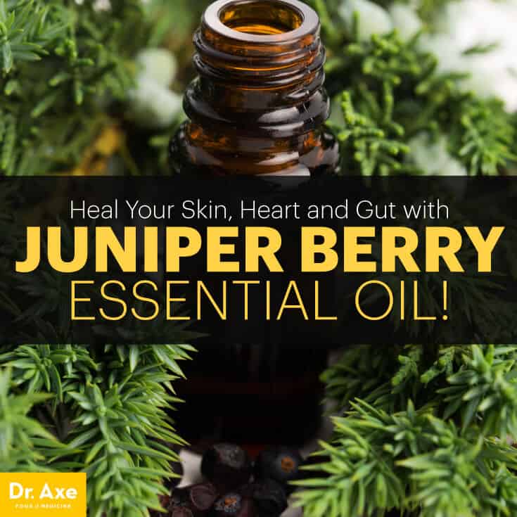 Juniper berry essential oil - Dr. Axe
