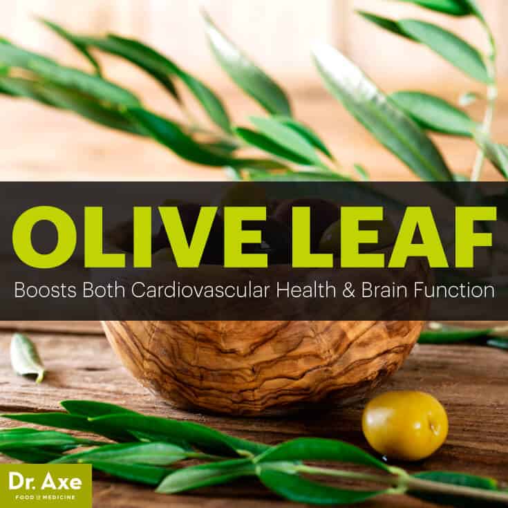 Olive leaf benefits - Dr. Axe