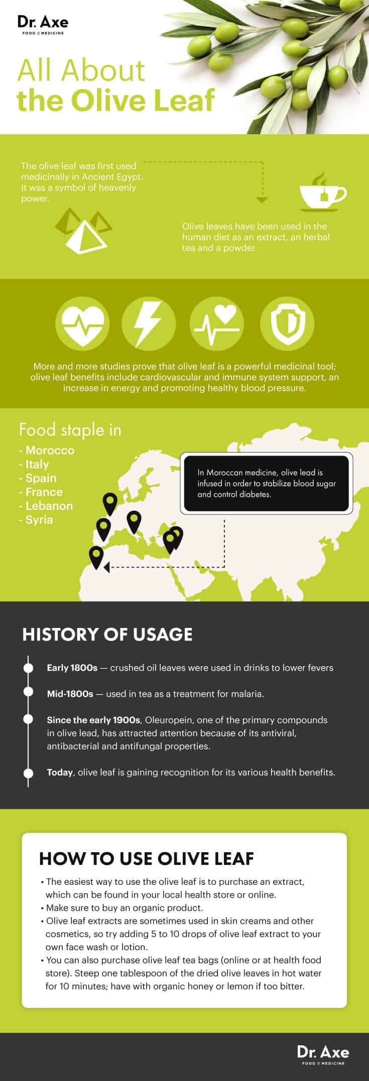 Guide to the olive leaf - Dr. Axe