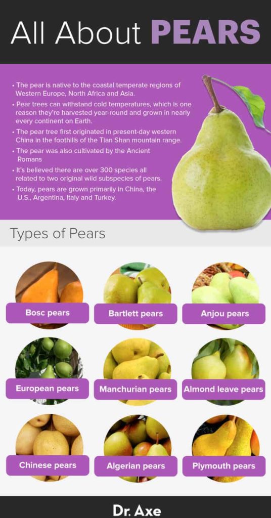 Pear Nutrition Benefits Recipes And Side Effects Of Pears Dr Axe 