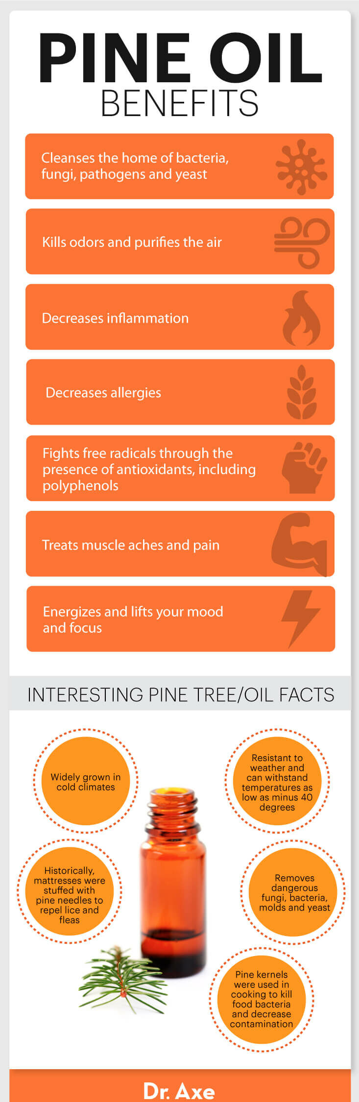 Pine oil uses infographic - Dr. Axe