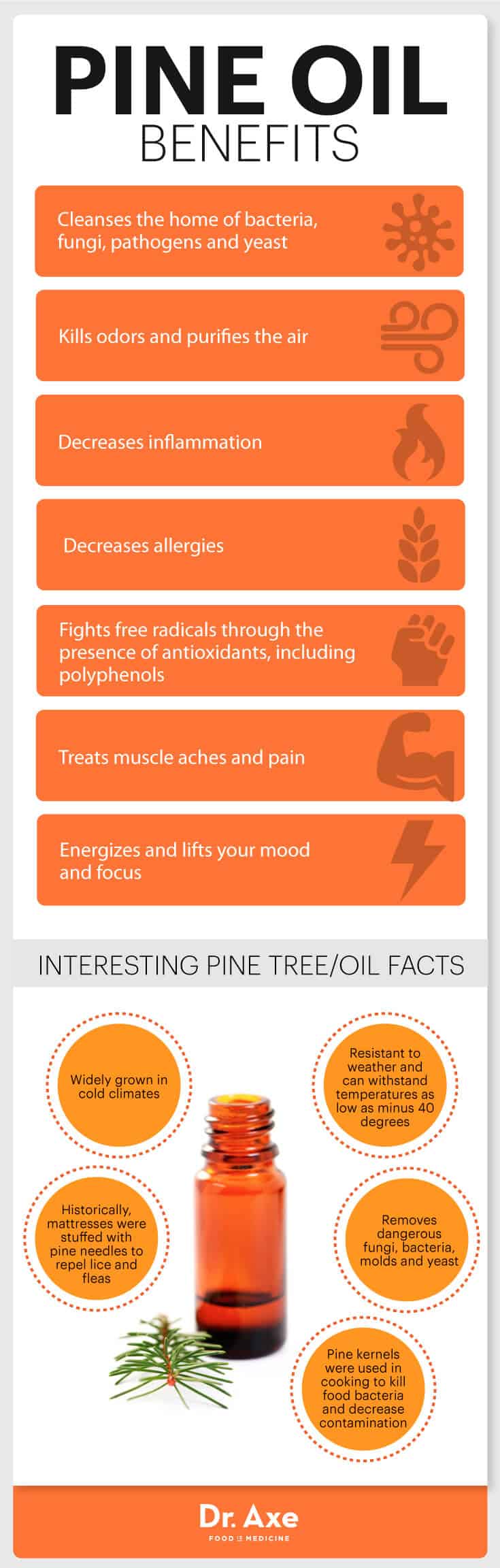 Pine oil uses infographic - Dr. Axe