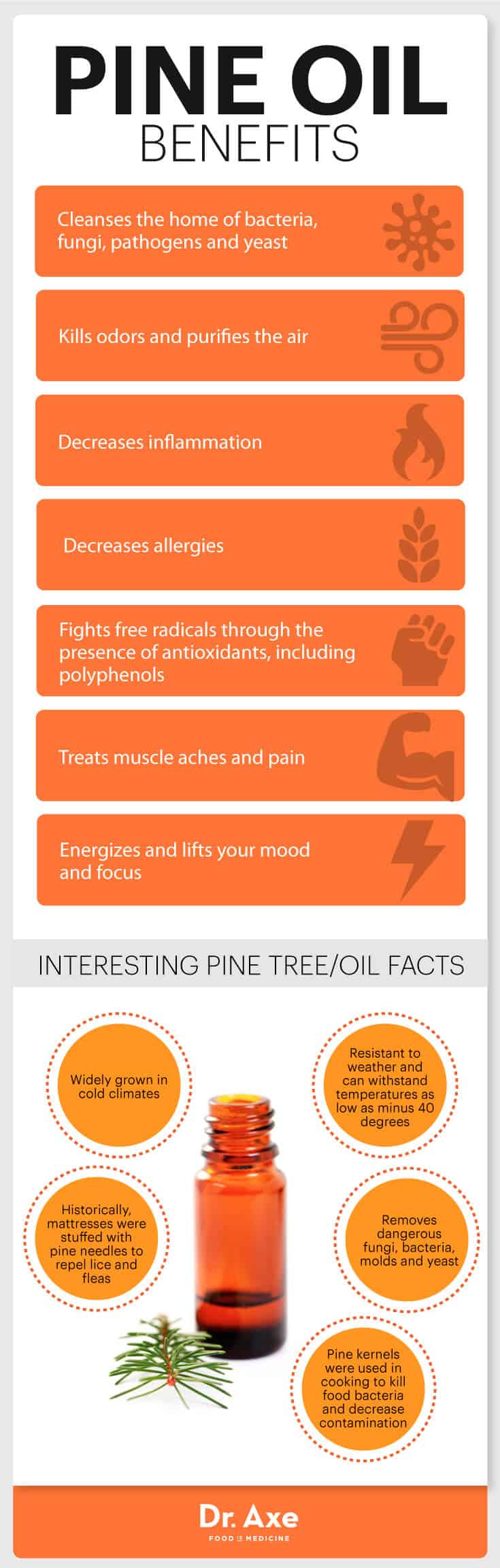 The benefits of pine oil enriched with pine resin for the skin - Siberian  Pine Nut Oil