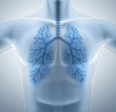 Respiratory system - Dr. Axe