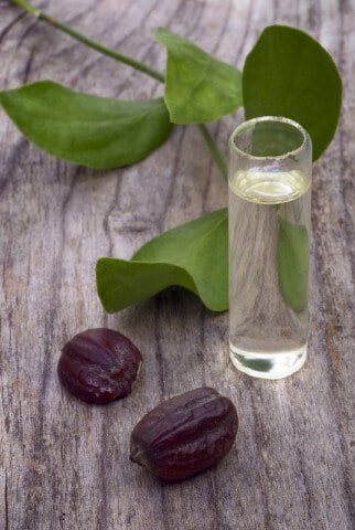 Jojoba oil - Dr. Axe