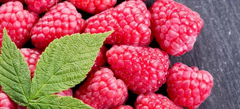 Raspberry ketone extract