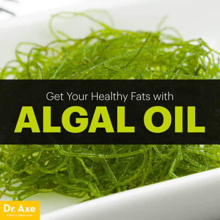 Algal Oil A Vegetarian Source of Omega3s and DHA Dr. Axe