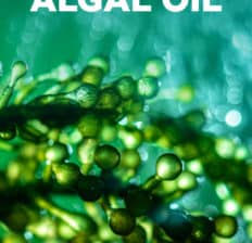 Algal oil - Dr. Axe
