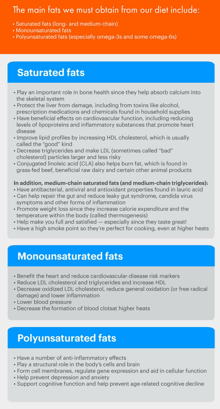 The fats you need and why - Dr. Axe