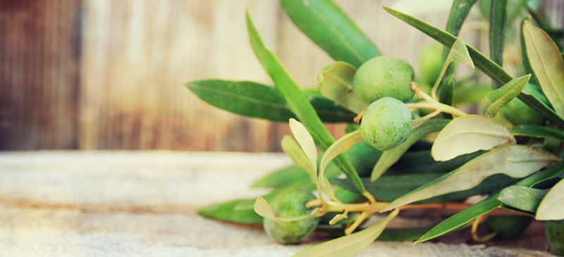 Olive leaf benefits - Dr. Axe