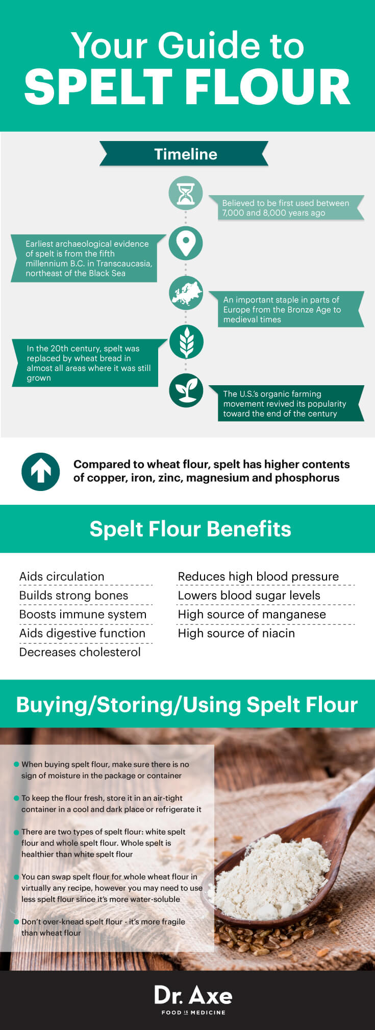 Difference Between Whole Wheat Flour And Spelt Flour at Stanley