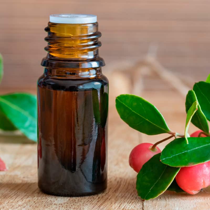 High-Quality Natural Wintergreen Oil - Food Grade Essential Oil