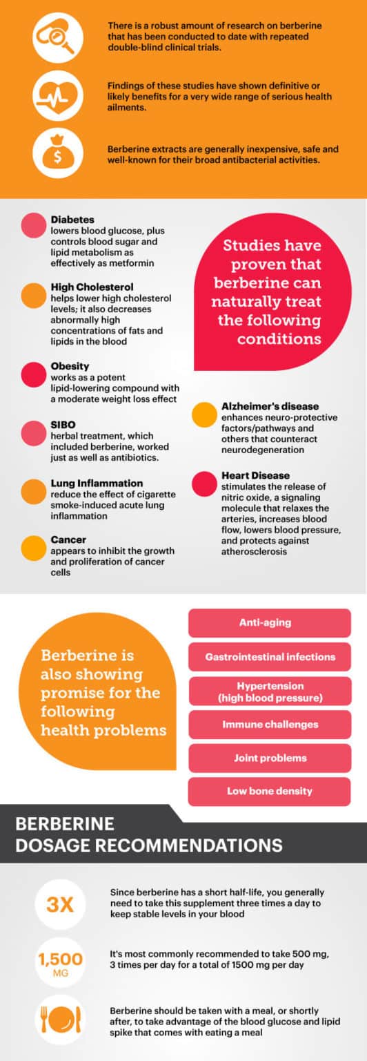 Shocking Berberine Side Effects The Die Off You Need To Know About - nz6dhtf