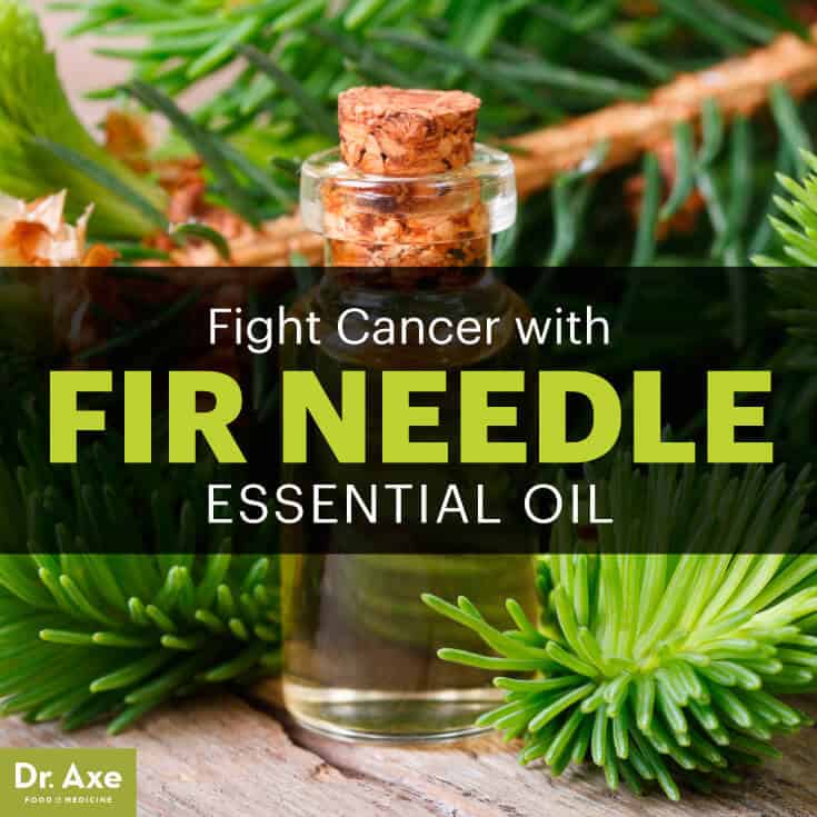 Fir Needle Essential Oil Dr Axe