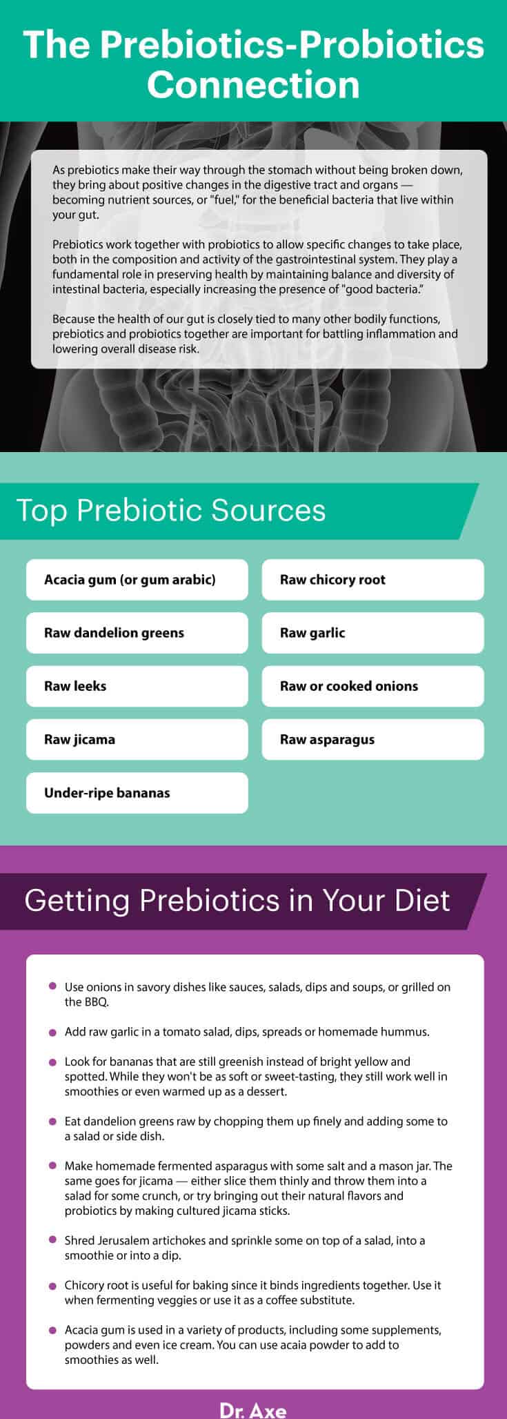 Prebiotics-probiotics connection - Dr. Axe