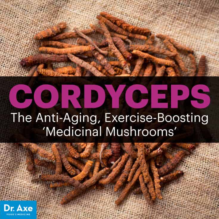Cordyceps - Dr. Axe