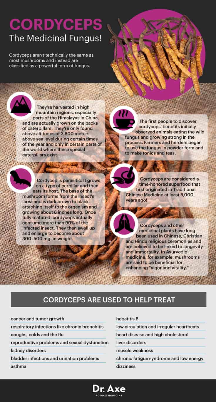 exercise i benefits & Cordyceps Aging  for Dr. Anti Performance Exercise  Axe