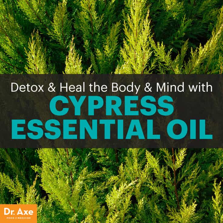 Cypress essential oil - Dr. Axe