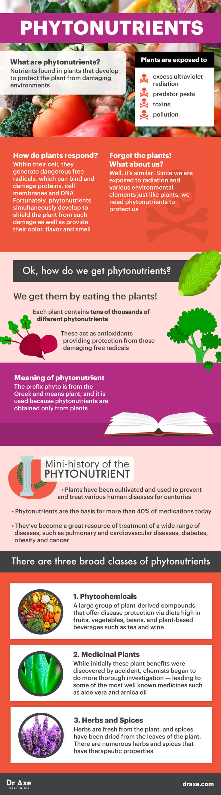 What are phytonutrients? - Dr. Axe