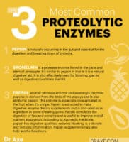 Proteolytic Enzymes Benefits, Sources, Supplements and More - Dr. Axe